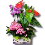 Aranjament floral in cutie Vintage care contine Orhidee, Anthurium, Hortensie si Trandafir
