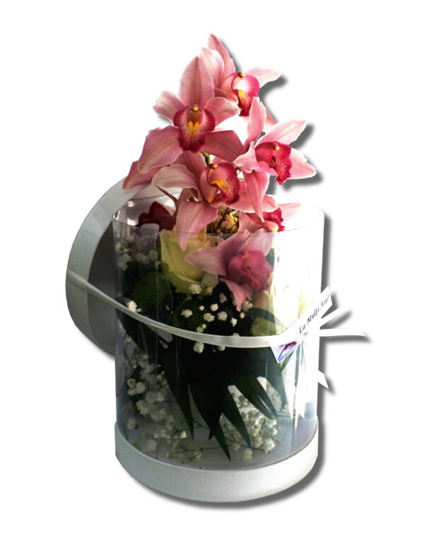 aranjament-floral-orhidee in-cutie-transparenta2